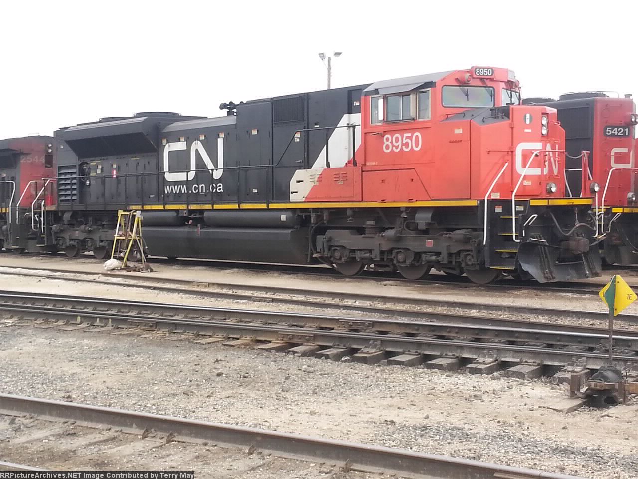CN 8950